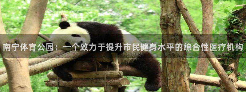 捷报网：南宁体育公园：一个致力于提升市民健身水平的综合性医疗机构