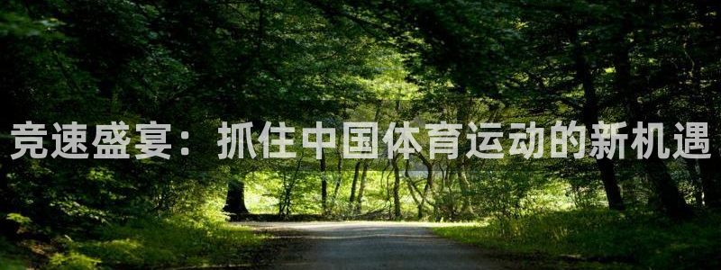 捷报归来：竞速盛宴：抓住中国体育运动的新机遇