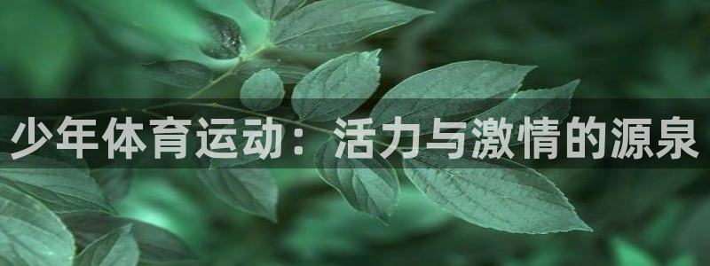 捷报比分完整版：少年体育运动：活力与激情的源泉