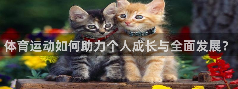 捷报v6：体育运动如何助力个人成长与全面发展？