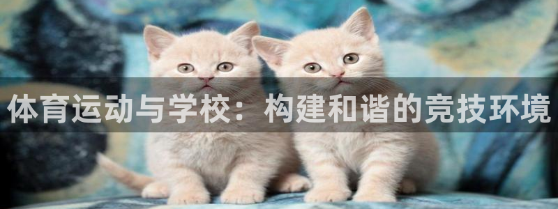 捷报体育比分官网：体育运动与学校：构建和谐的竞技环境