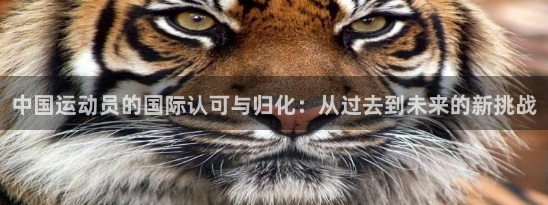 捷报图片：中国运动员的国际认可与归化：从过去到未来的新挑战