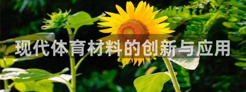 捷报比分捷报比：现代体育材料的创新与应用