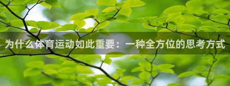 捷报上不封顶电视剧免费观看：为什么体育运动如此重要：一种全方位的思考方式