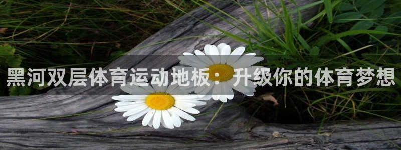 捷报体育比分下载：黑河双层体育运动地板：升级你的体育梦想