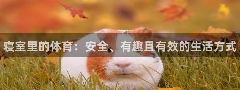 捷报频传是什么意思：寝室里的体育：安全、有趣且有效的生活方式